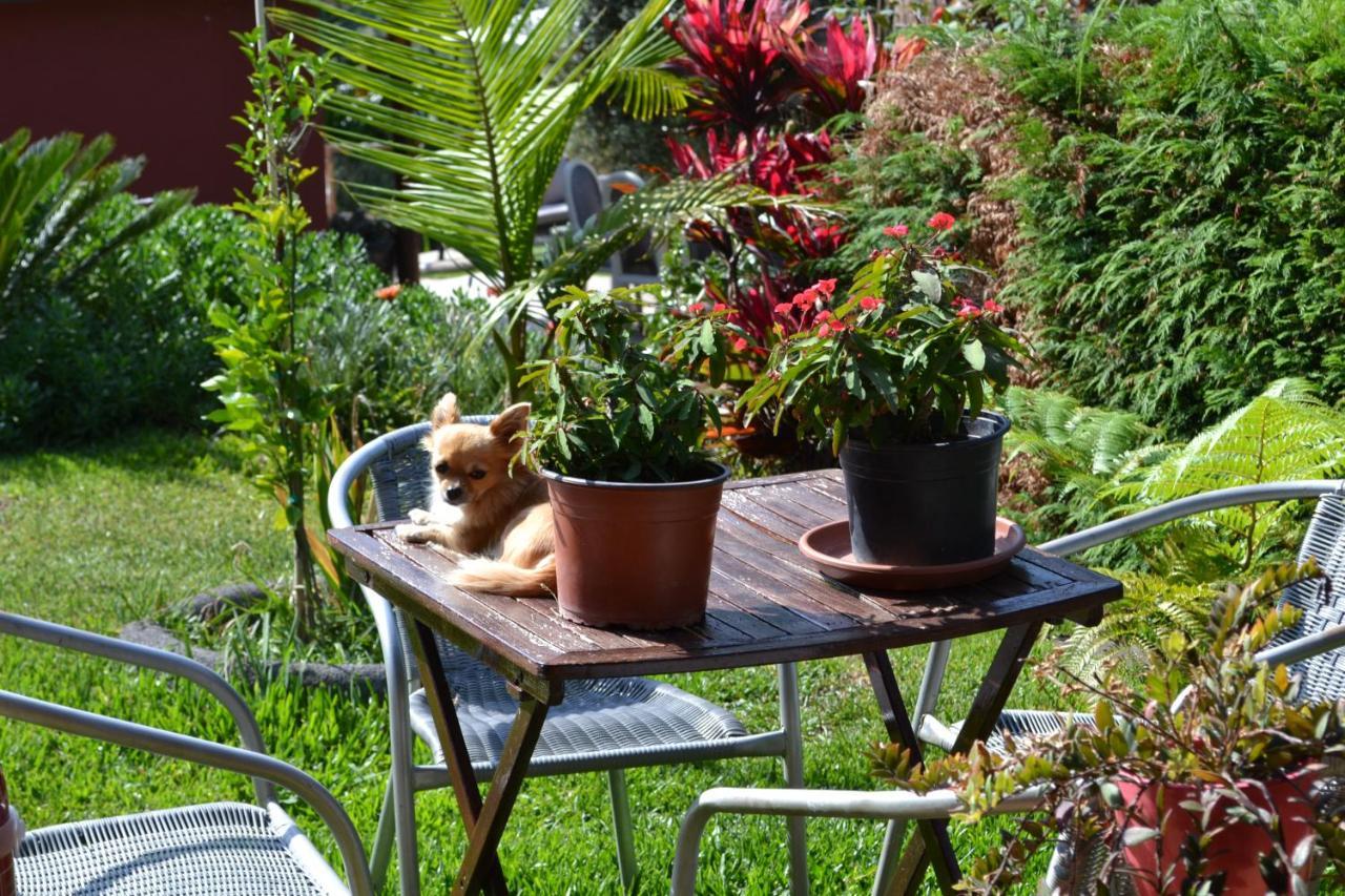 Bed and Breakfast maderedocevida Boaventura Exterior foto