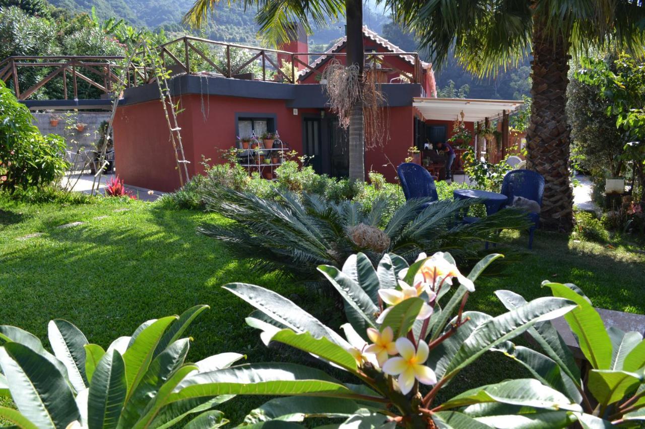 Bed and Breakfast maderedocevida Boaventura Exterior foto