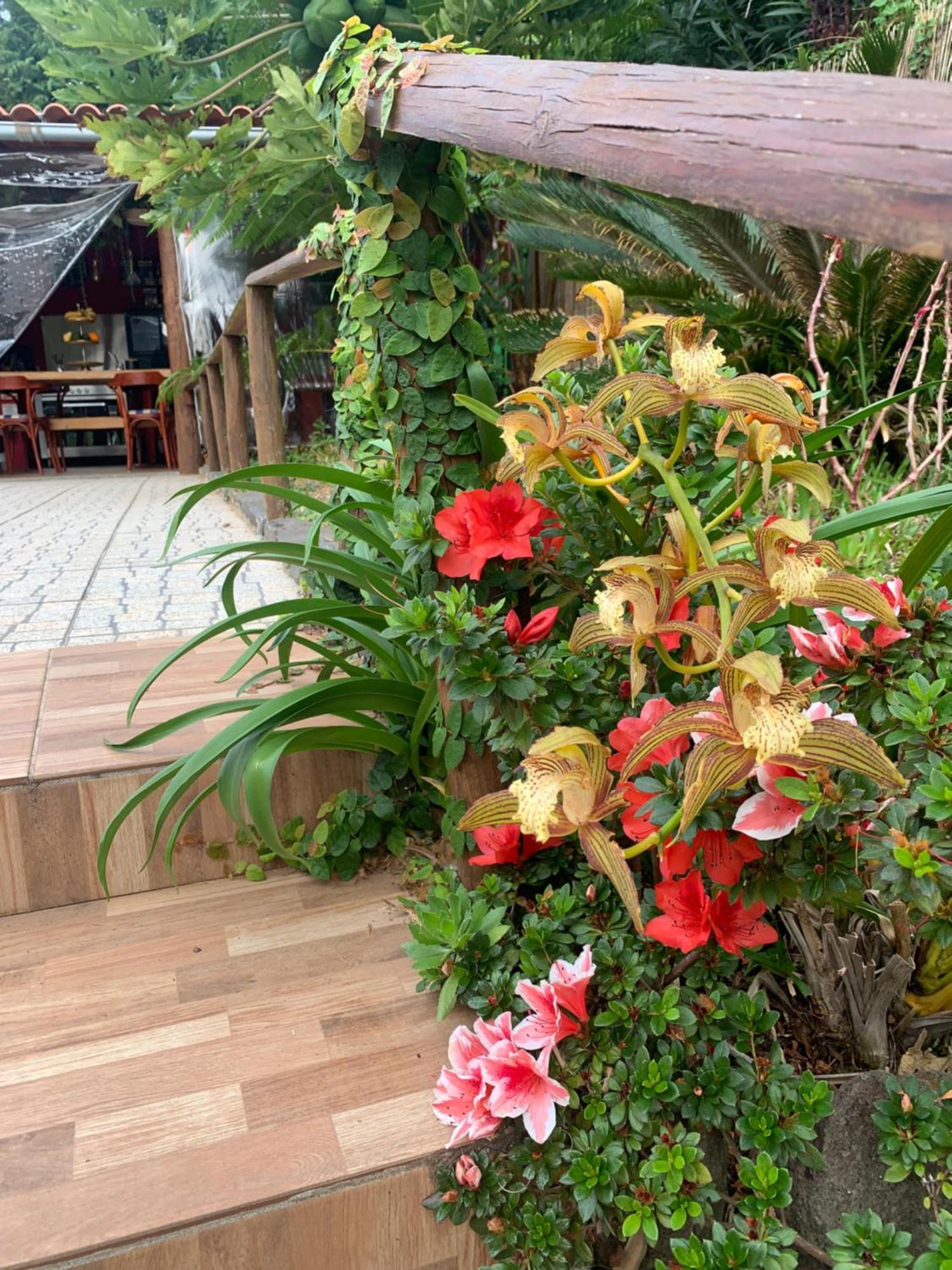 Bed and Breakfast maderedocevida Boaventura Exterior foto