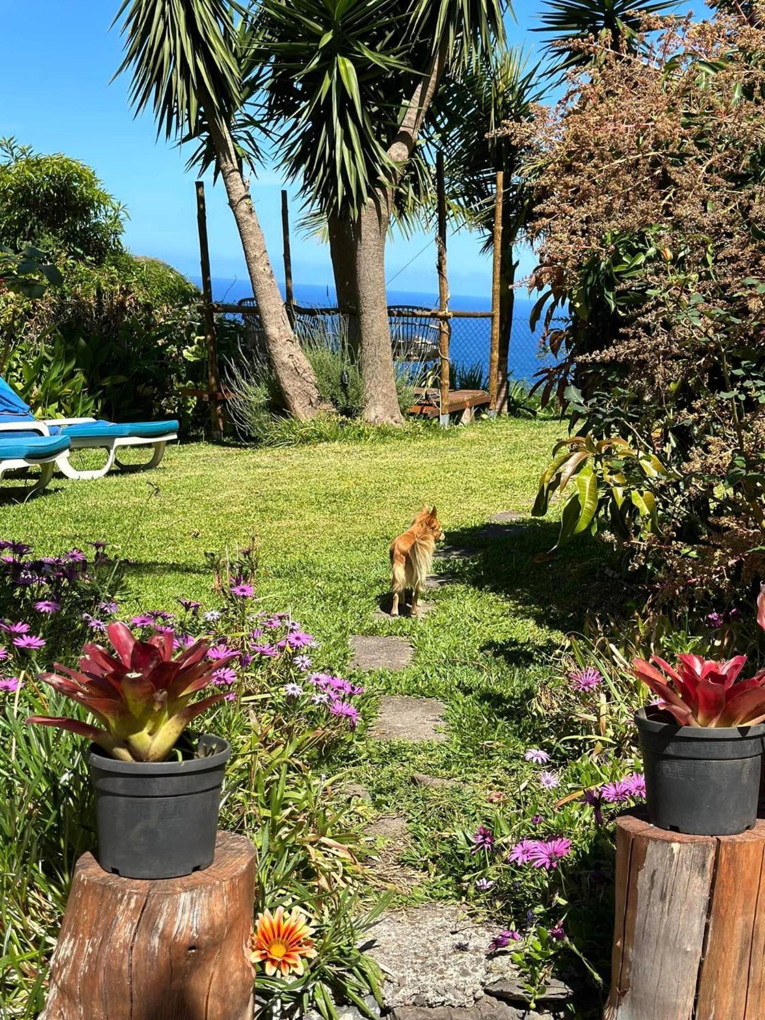 Bed and Breakfast maderedocevida Boaventura Exterior foto